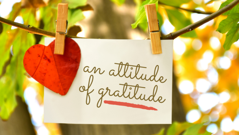 Read more about the article Gift Giving: An Attitude of Gratitude
