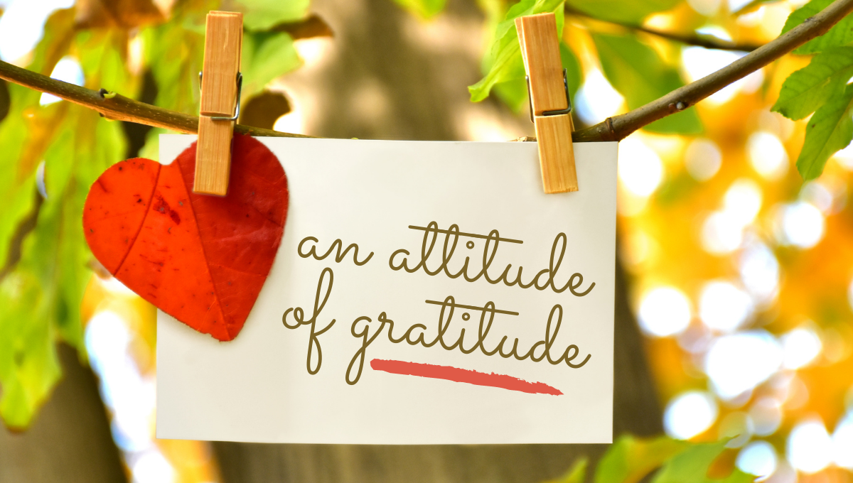 You are currently viewing Gift Giving: An Attitude of Gratitude